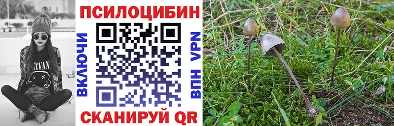 Псилоцибиновые грибы Magic Shrooms  Салават 