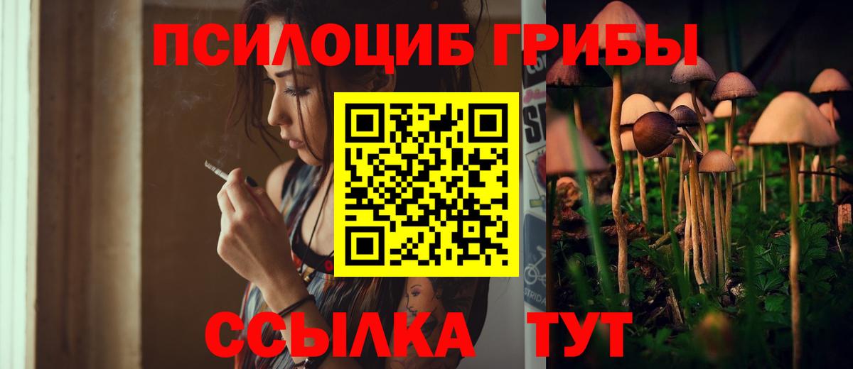Галлюциногенные грибы Psilocybe Салават